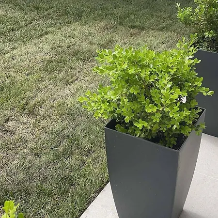 アパート Kalypso House