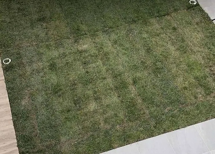 Kalypso House Apartament