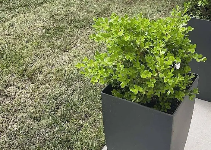 Apartament Kalypso House